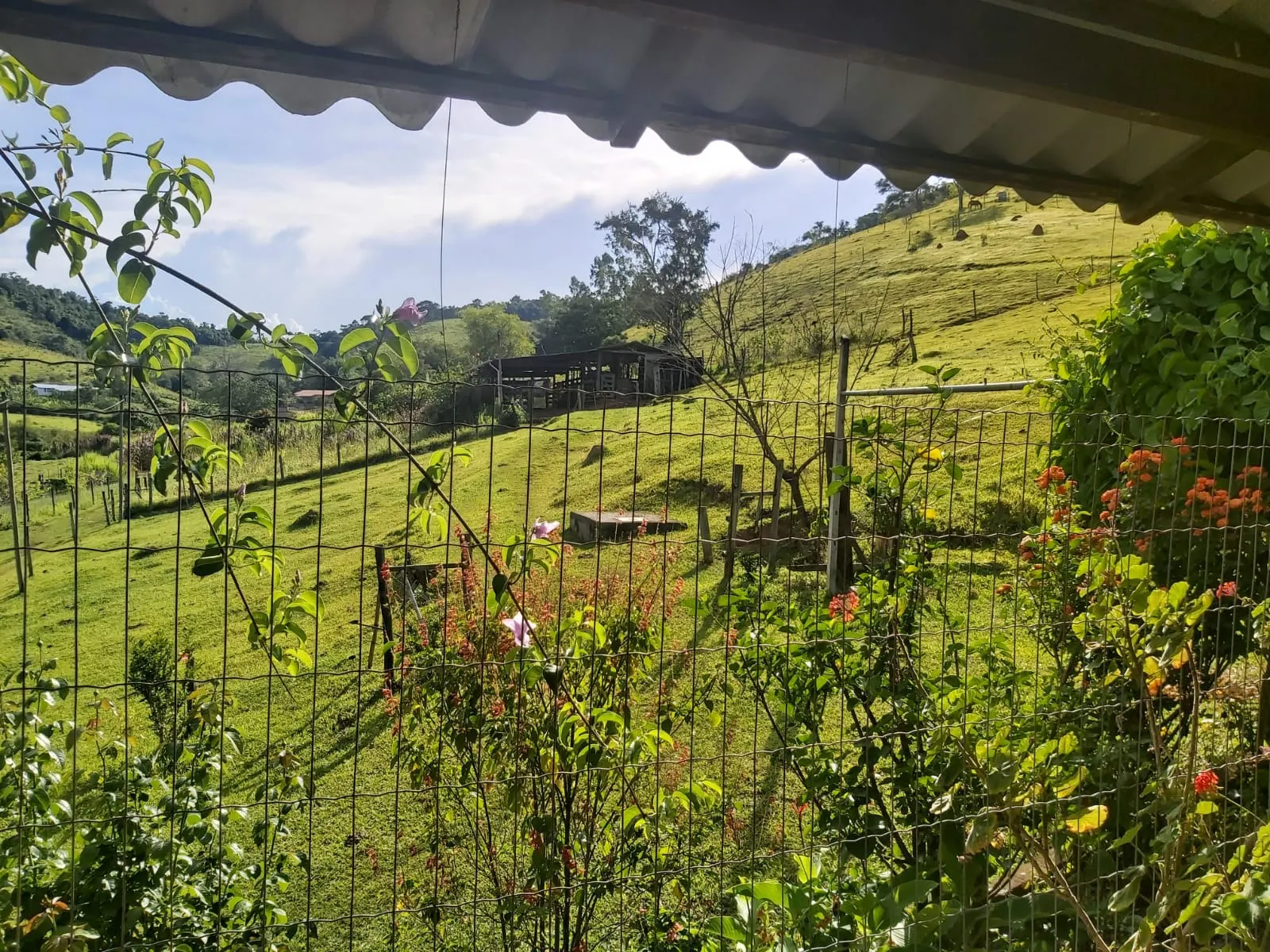 Sítio à venda de 10 ha em Paraibuna, SP, Brasil
