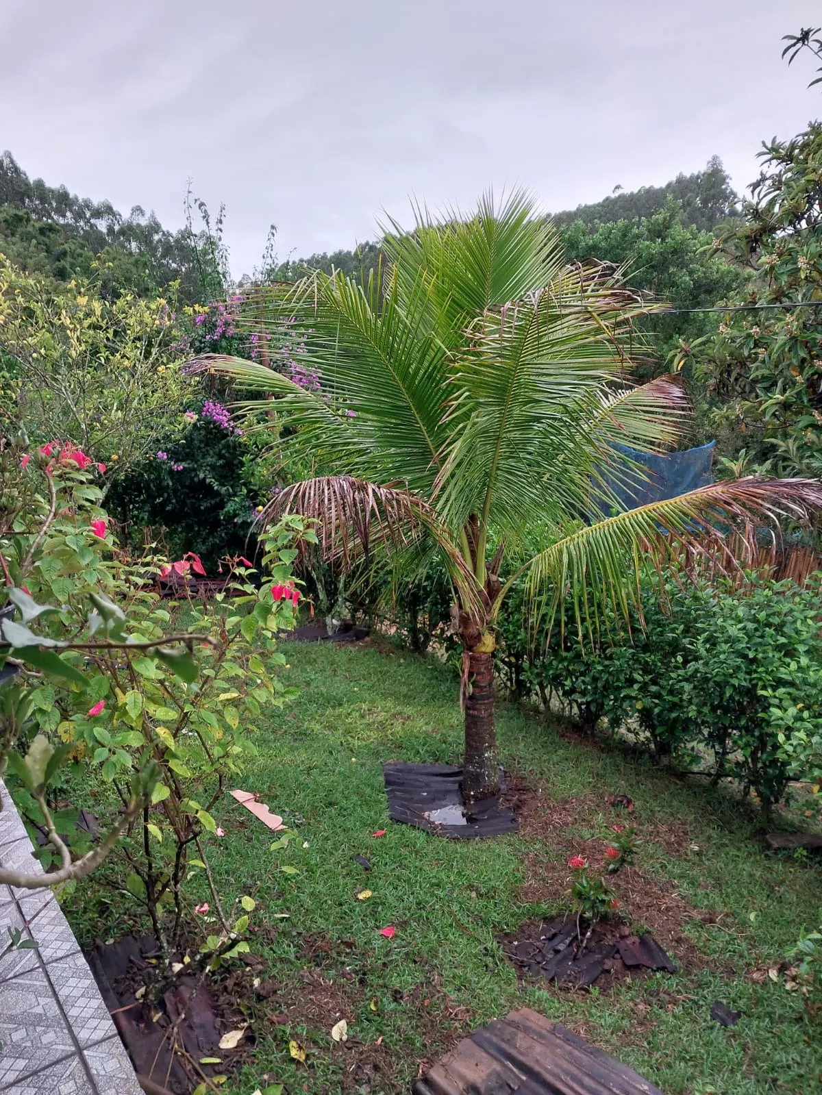 Sítio à venda de 10 ha em Paraibuna, SP, Brasil