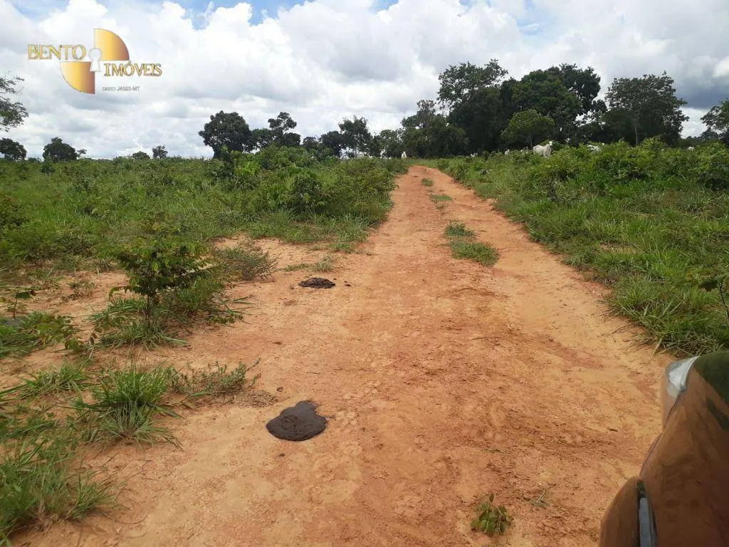 Fazenda à venda de 2.300 ha em Várzea Grande, MT, Brasil