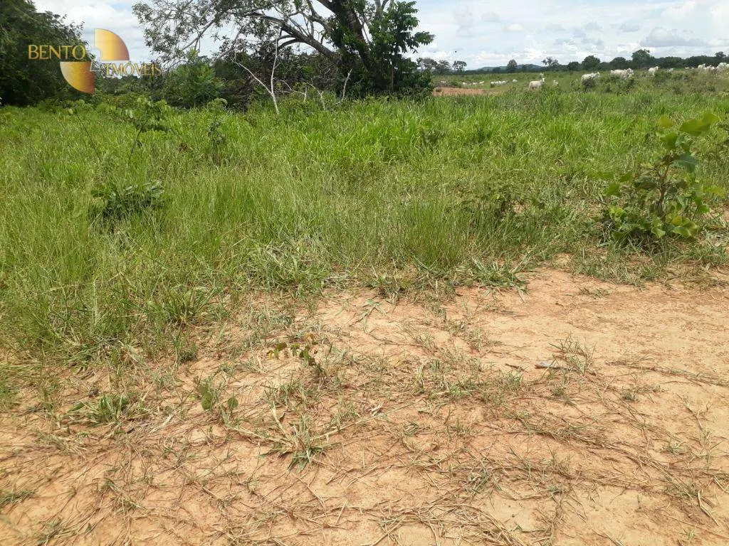 Fazenda à venda de 2.300 ha em Várzea Grande, MT, Brasil
