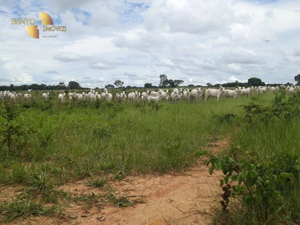 Fazenda à venda de 2.300 ha em Várzea Grande, MT, Brasil