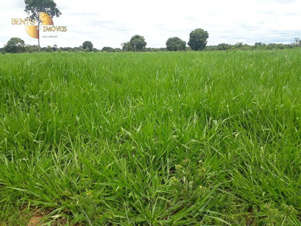 Fazenda à venda de 2.300 ha em Várzea Grande, MT, Brasil