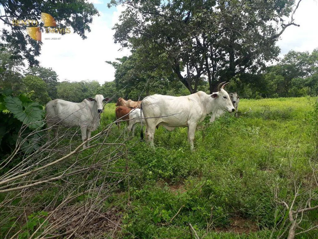 Fazenda à venda de 2.300 ha em Várzea Grande, MT, Brasil