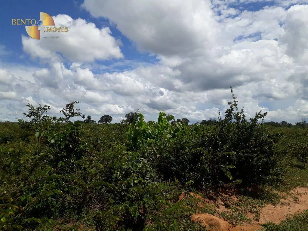 Fazenda à venda de 2.300 ha em Várzea Grande, MT, Brasil