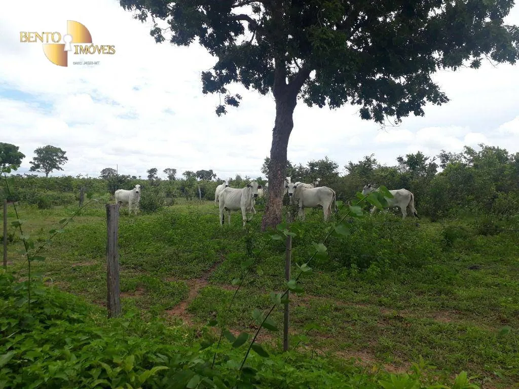 Fazenda à venda de 2.300 ha em Várzea Grande, MT, Brasil