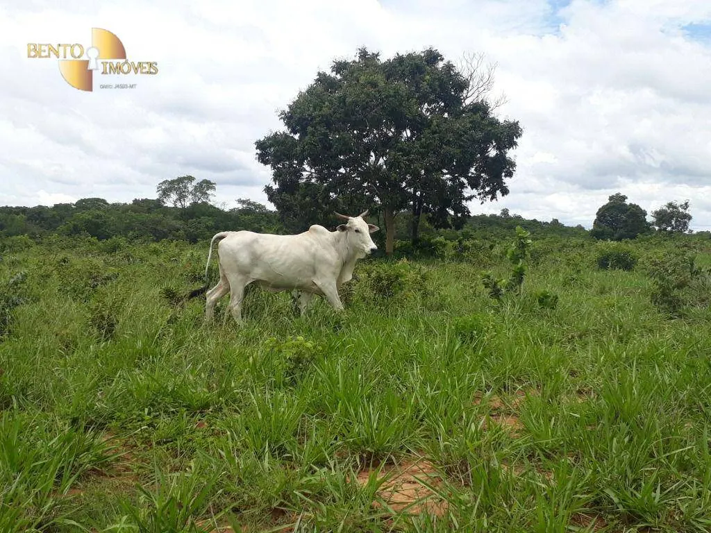 Fazenda à venda de 2.300 ha em Várzea Grande, MT, Brasil