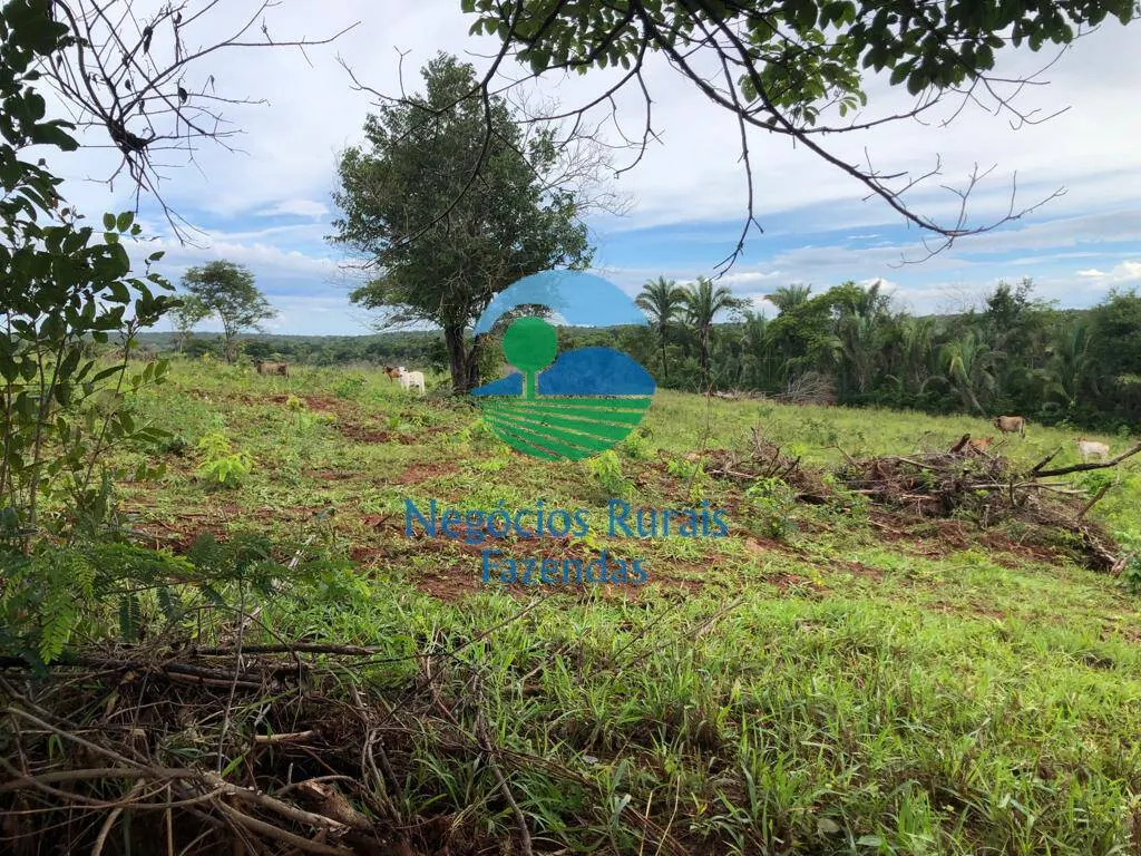 Farm for sale and to rent of 835 acres in Uruaçu, GO, Brazil