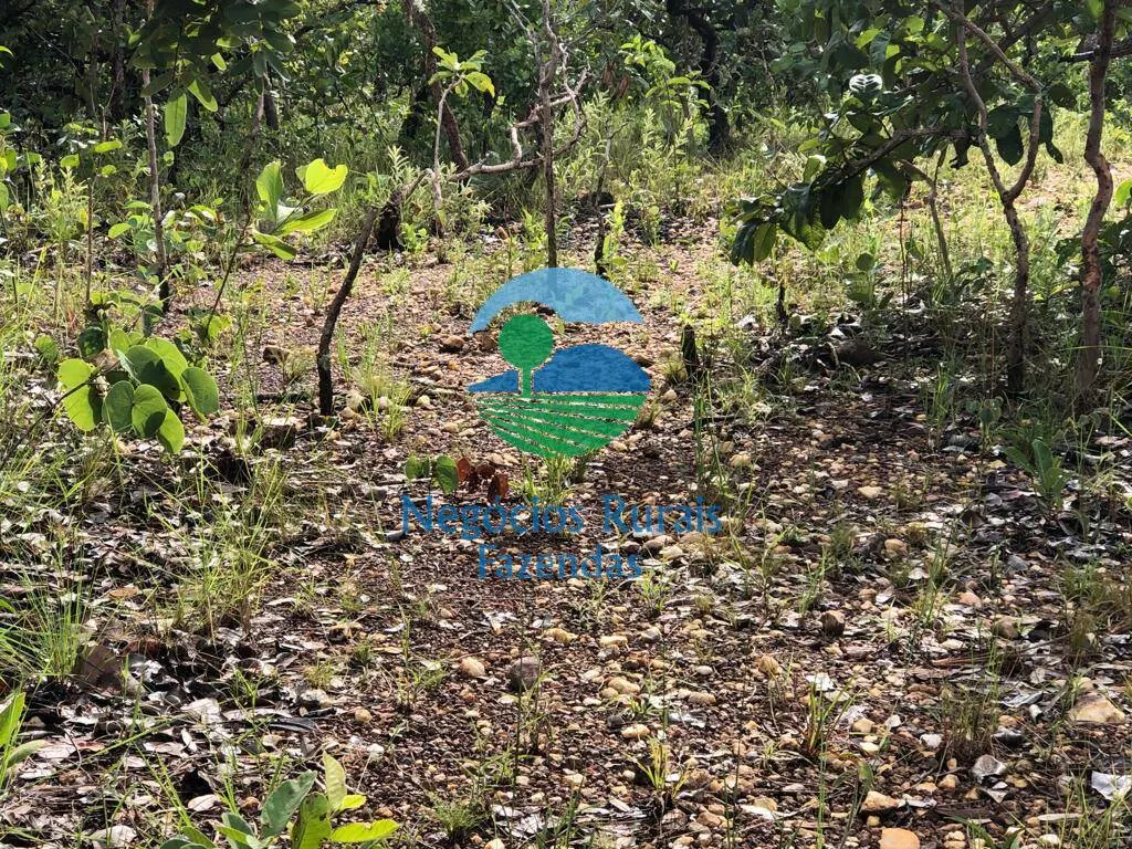 Farm for sale and to rent of 835 acres in Uruaçu, GO, Brazil
