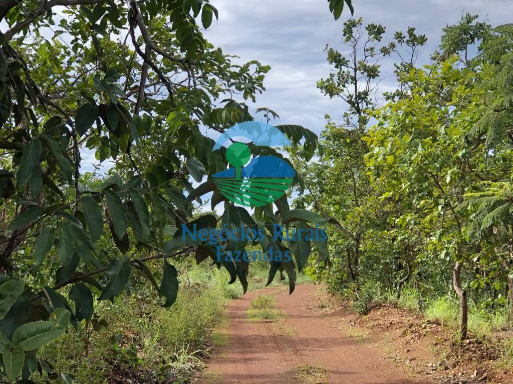 Fazenda à venda e para Arrendar de 338 ha em Uruaçu, GO, Brasil