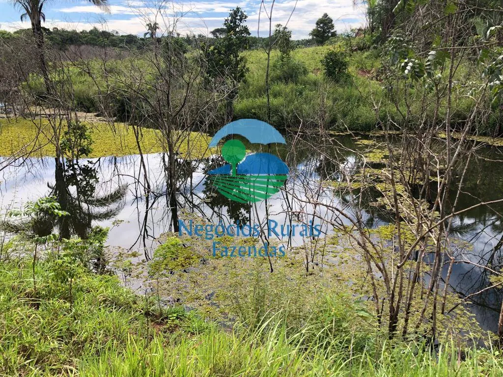 Farm for sale and to rent of 835 acres in Uruaçu, GO, Brazil