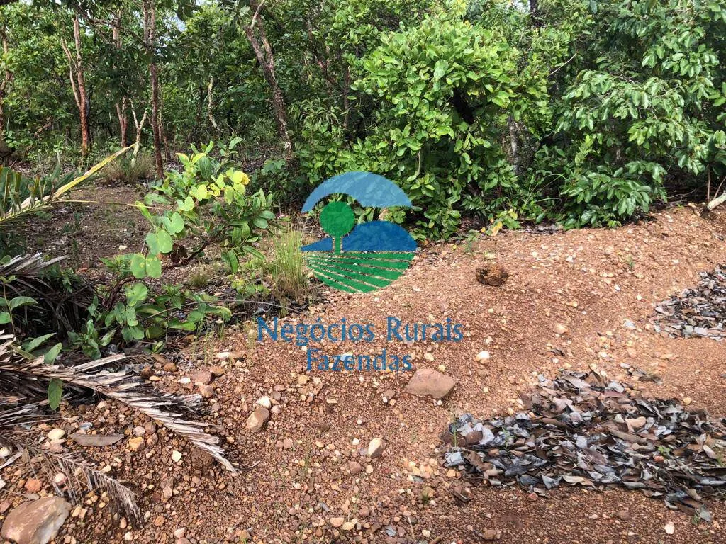 Farm for sale and to rent of 835 acres in Uruaçu, GO, Brazil