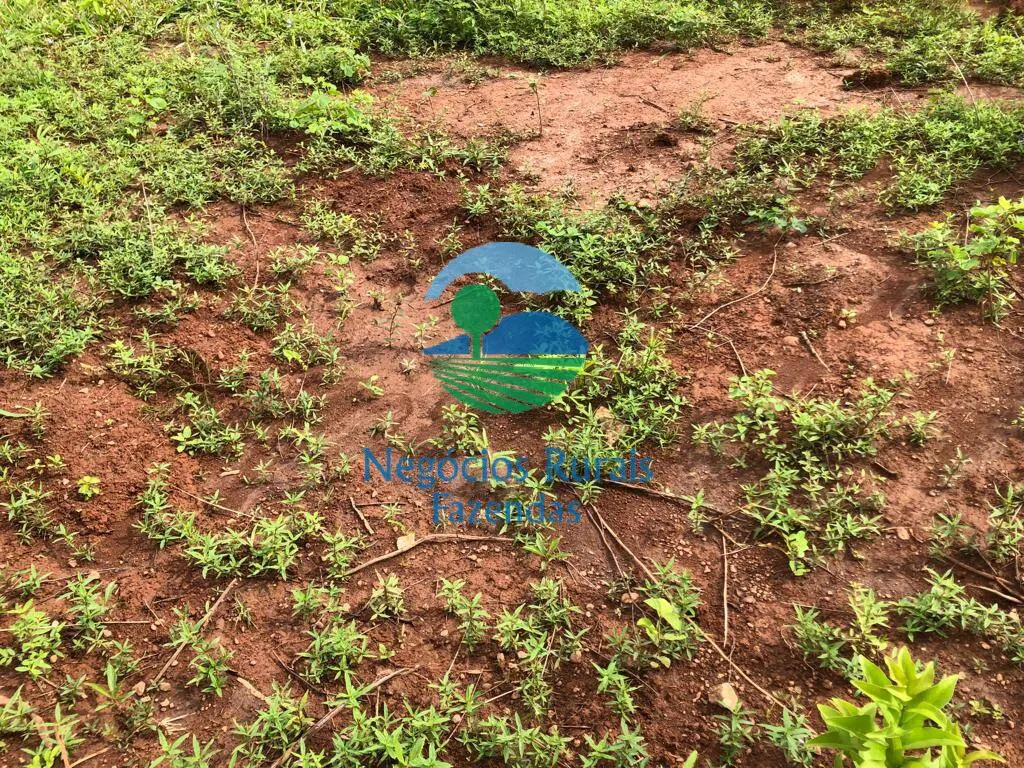 Farm for sale and to rent of 835 acres in Uruaçu, GO, Brazil