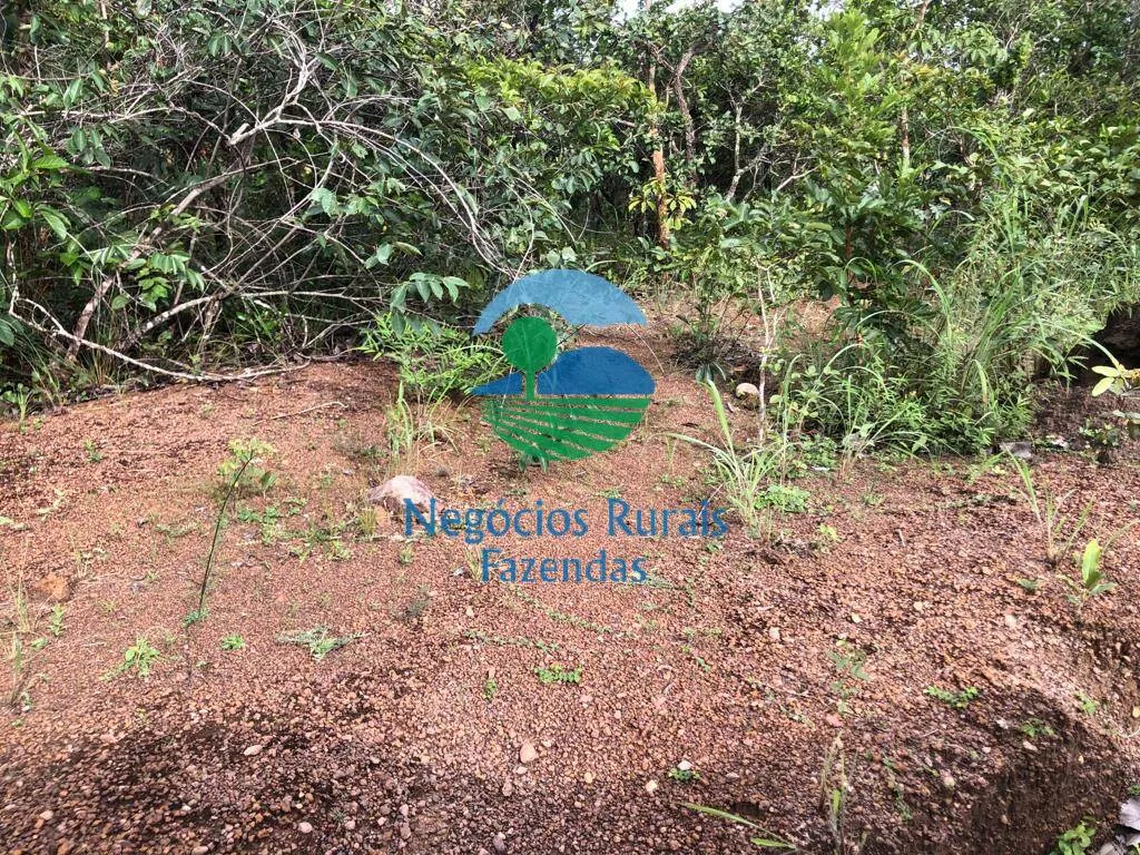 Farm for sale and to rent of 835 acres in Uruaçu, GO, Brazil