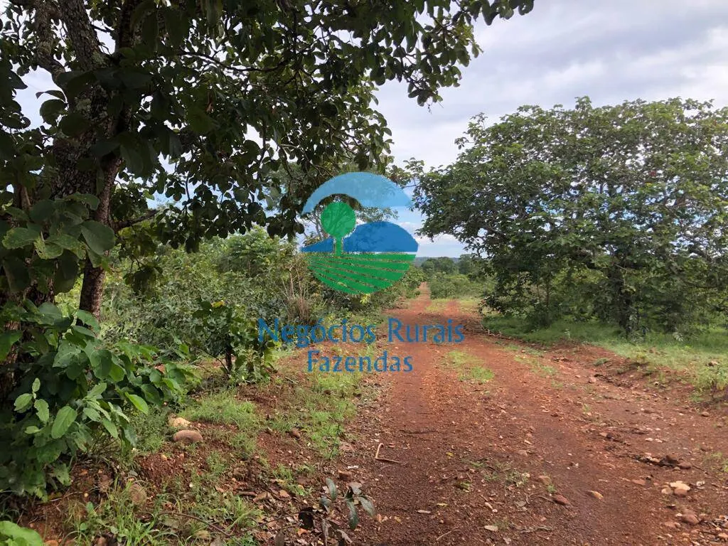 Farm for sale and to rent of 835 acres in Uruaçu, GO, Brazil