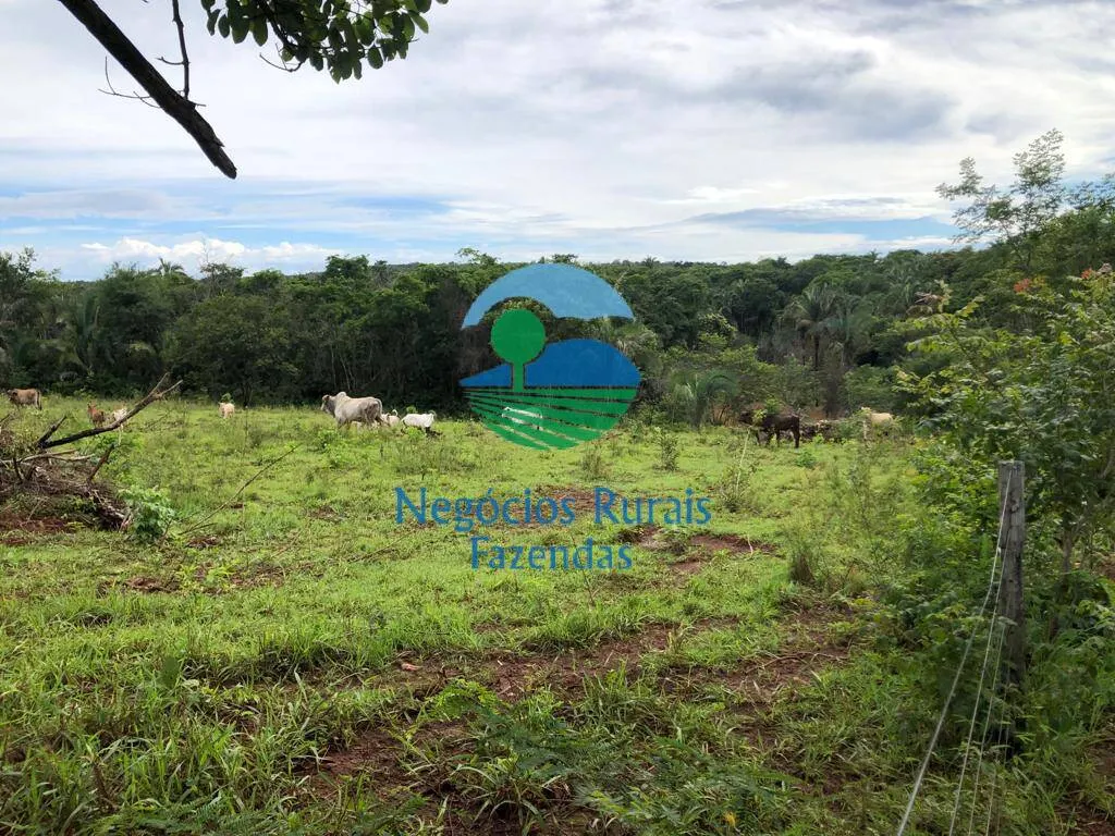 Farm for sale and to rent of 835 acres in Uruaçu, GO, Brazil