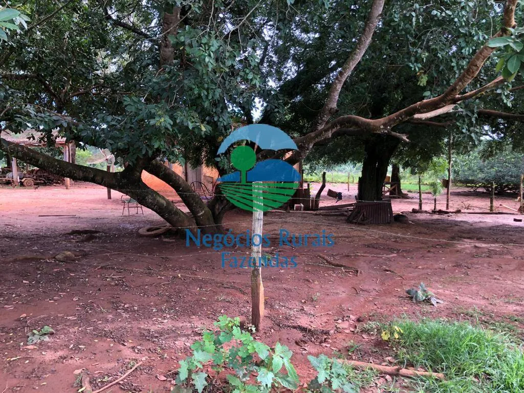 Farm for sale and to rent of 835 acres in Uruaçu, GO, Brazil