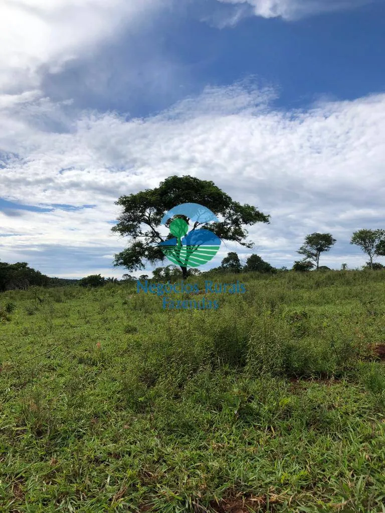Farm for sale and to rent of 835 acres in Uruaçu, GO, Brazil