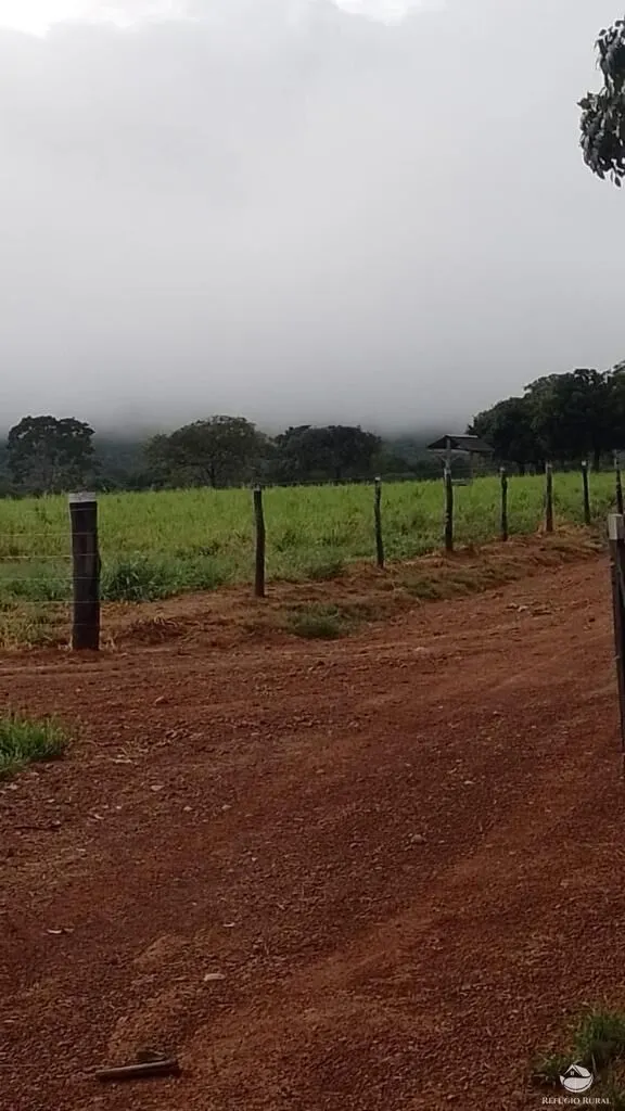 Fazenda à venda de 2.030 ha em Buritis, MG, Brasil