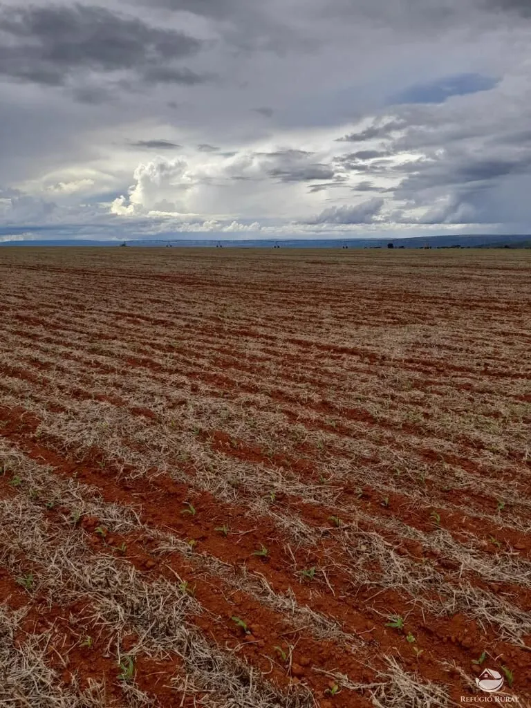 Fazenda à venda de 2.030 ha em Buritis, MG, Brasil