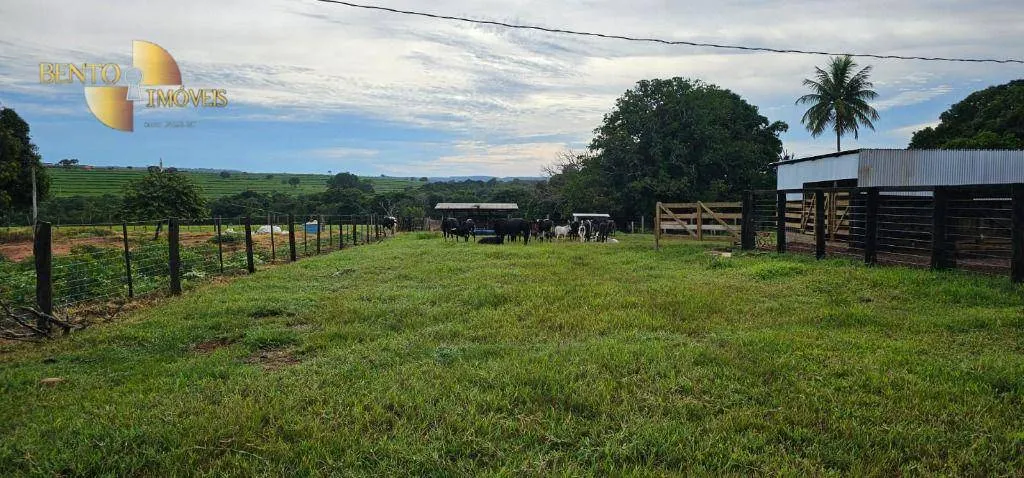 Fazenda à venda de 240 ha em Dom Aquino, MT, Brasil