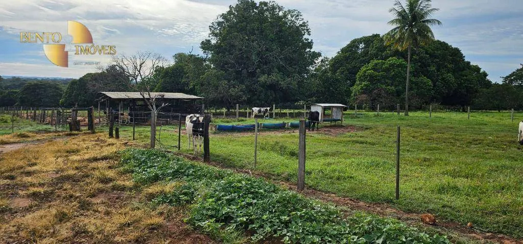 Fazenda à venda de 240 ha em Dom Aquino, MT, Brasil