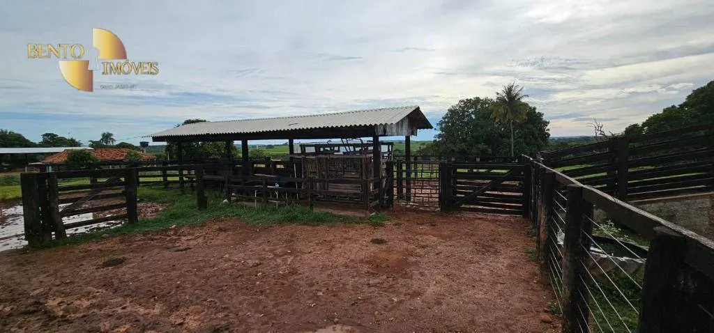 Fazenda à venda de 240 ha em Dom Aquino, MT, Brasil