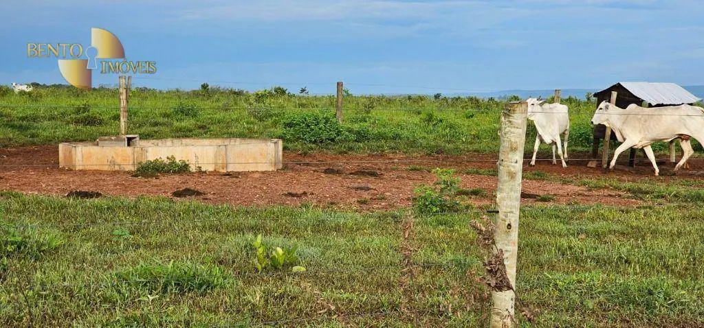 Fazenda à venda de 240 ha em Dom Aquino, MT, Brasil