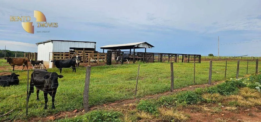 Fazenda à venda de 240 ha em Dom Aquino, MT, Brasil
