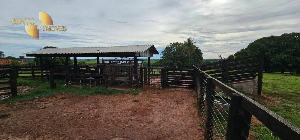 Fazenda à venda de 240 ha em Dom Aquino, MT, Brasil