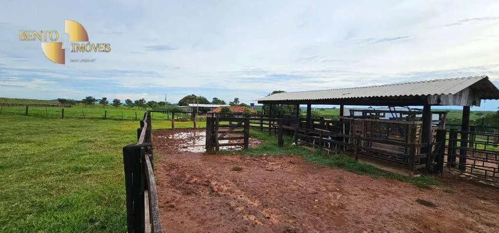 Fazenda à venda de 240 ha em Dom Aquino, MT, Brasil