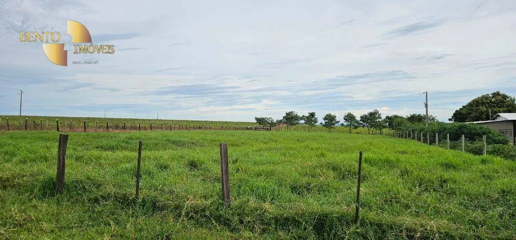 Fazenda à venda de 240 ha em Dom Aquino, MT, Brasil
