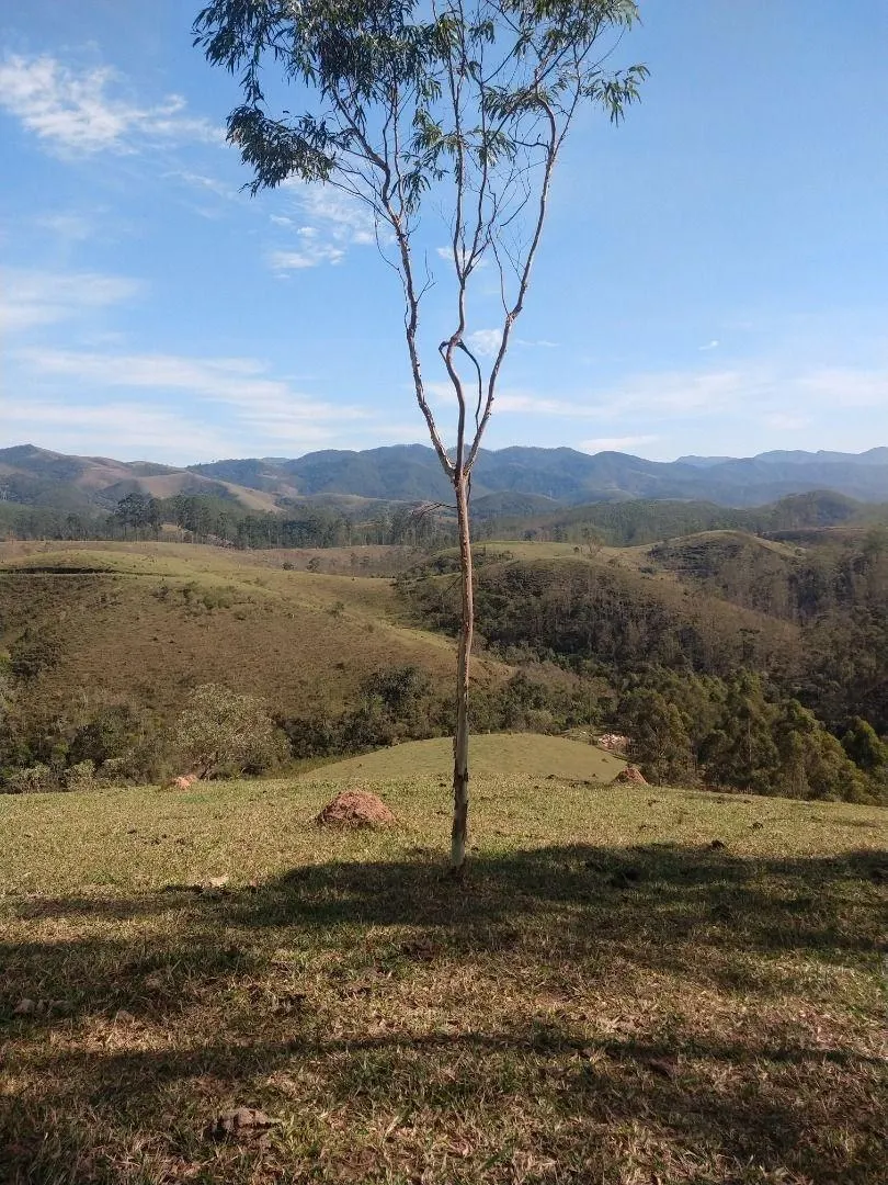 Fazenda à venda de 150 ha em Igaratá, SP, Brasil
