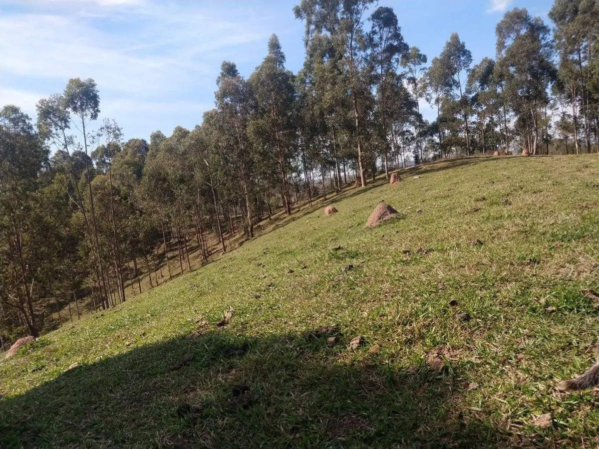 Fazenda à venda de 150 ha em Igaratá, SP, Brasil