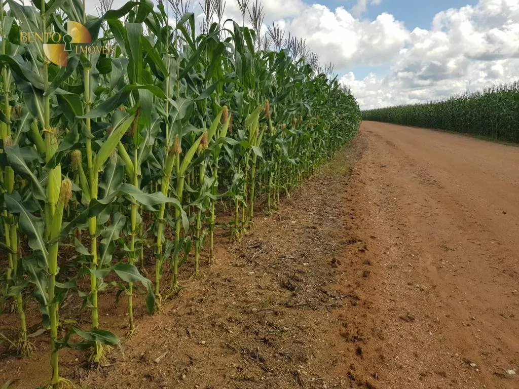 Fazenda à venda de 8.450 ha em Nova Canaã do Norte, MT, Brasil