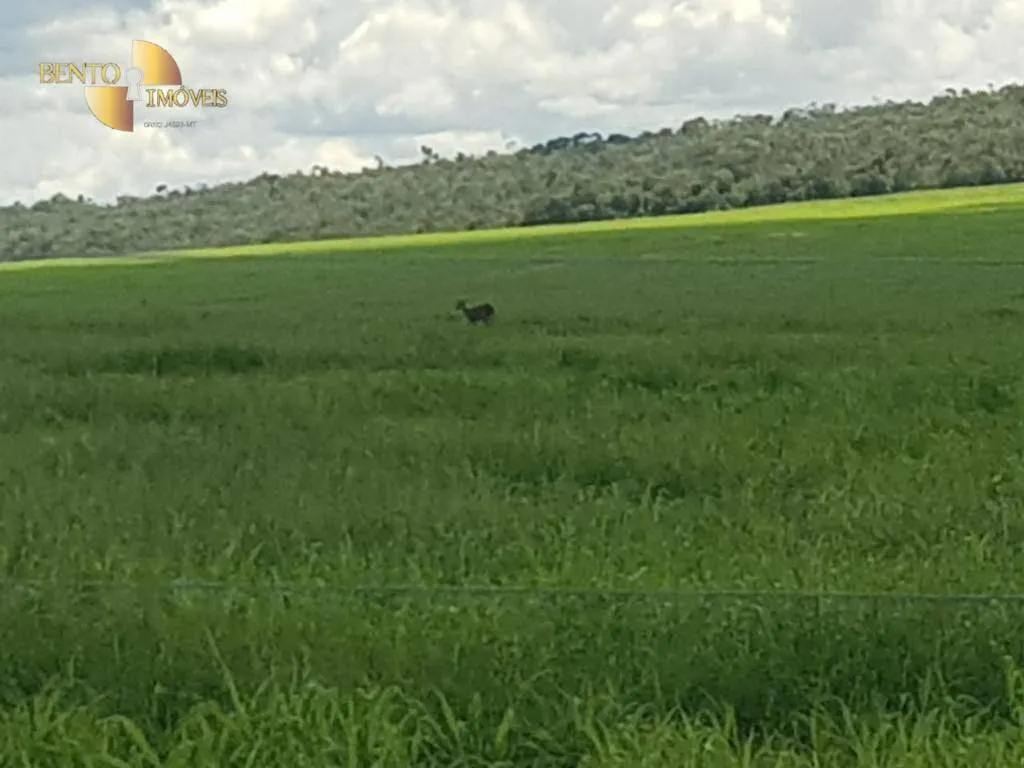 Fazenda à venda de 8.450 ha em Nova Canaã do Norte, MT, Brasil