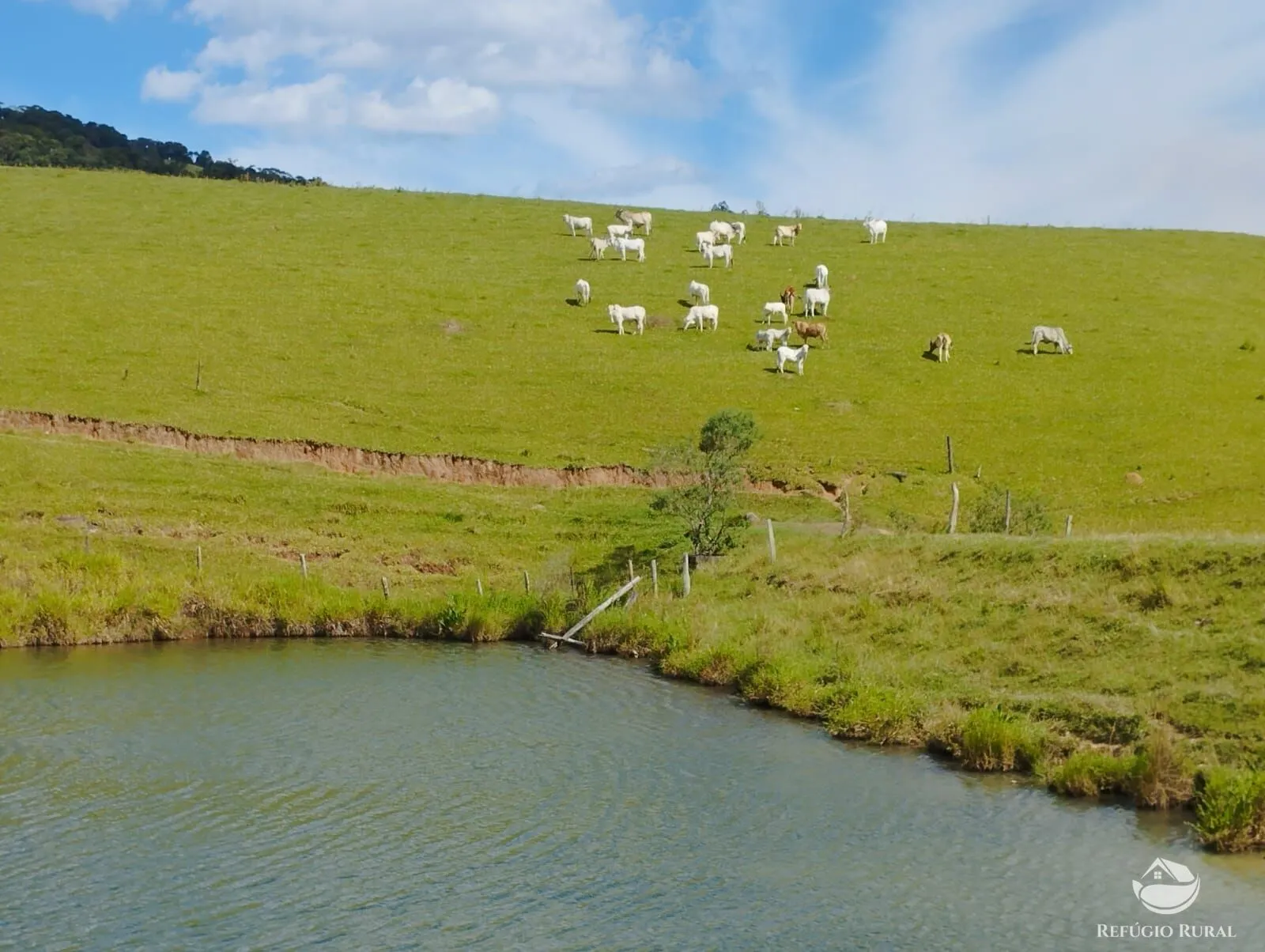 Fazenda à venda de 242 ha em Piracaia, SP, Brasil