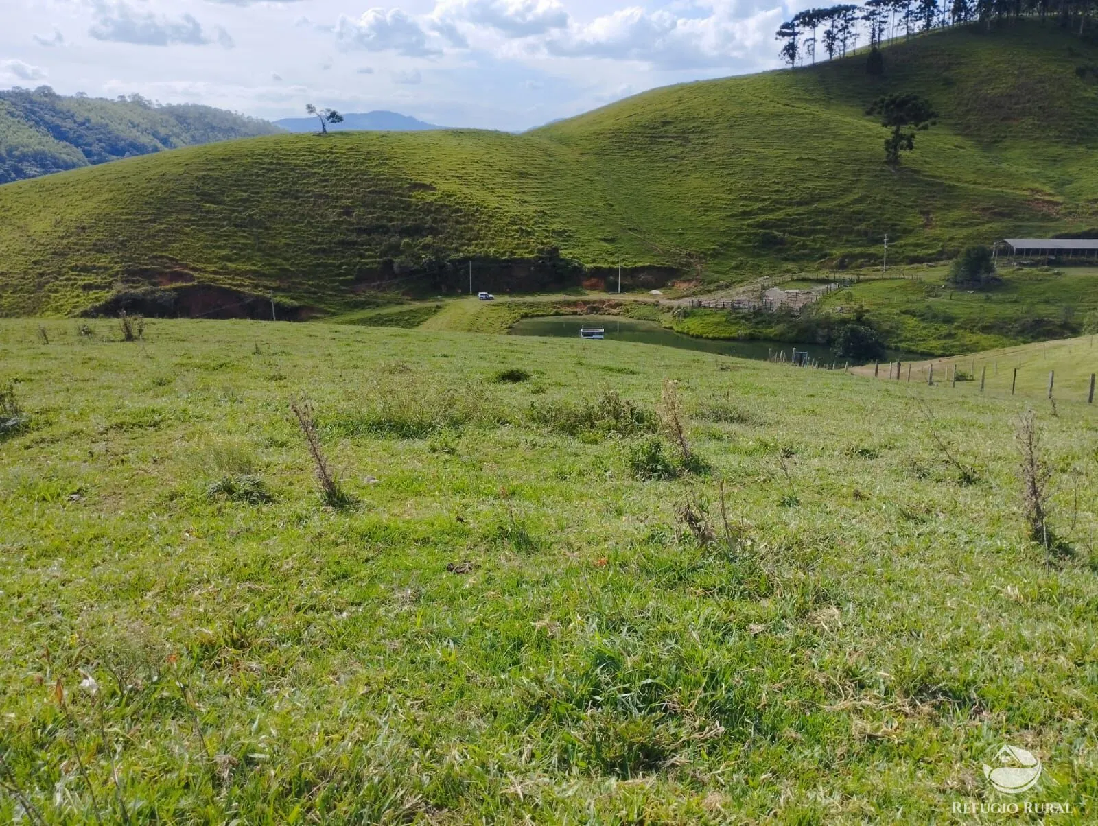 Fazenda à venda de 242 ha em Piracaia, SP, Brasil