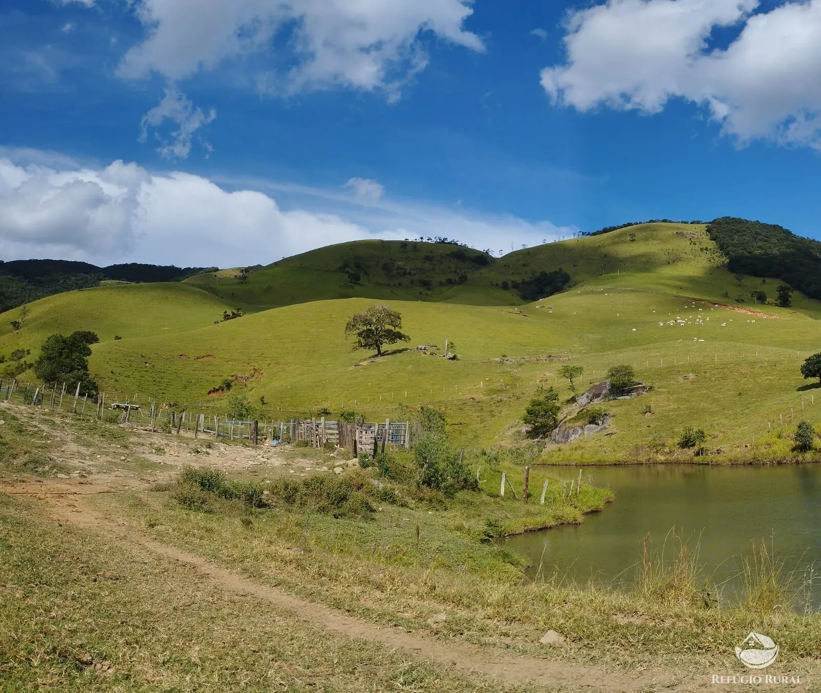 Fazenda à venda de 242 ha em Piracaia, SP, Brasil