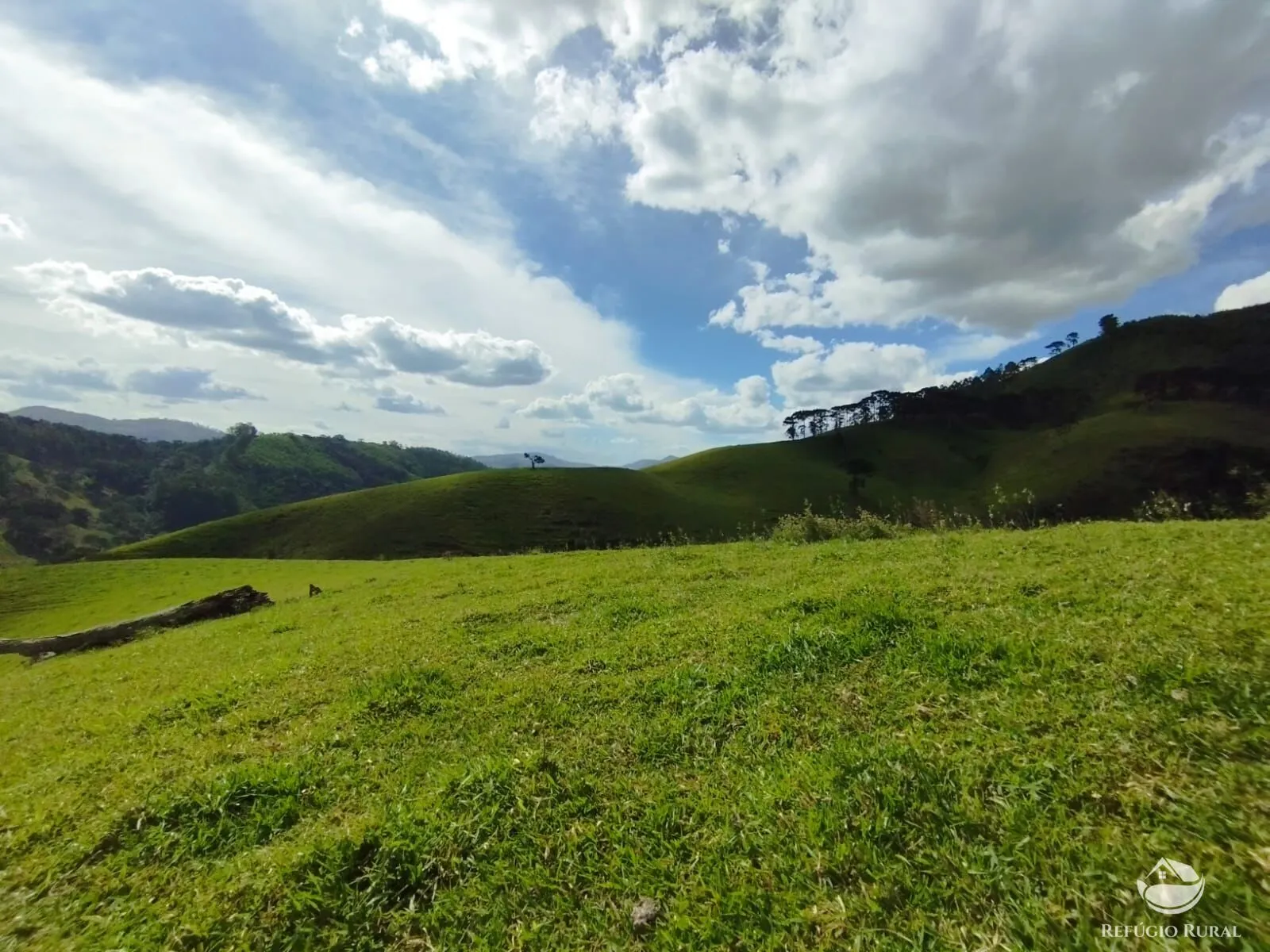 Fazenda à venda de 242 ha em Piracaia, SP, Brasil