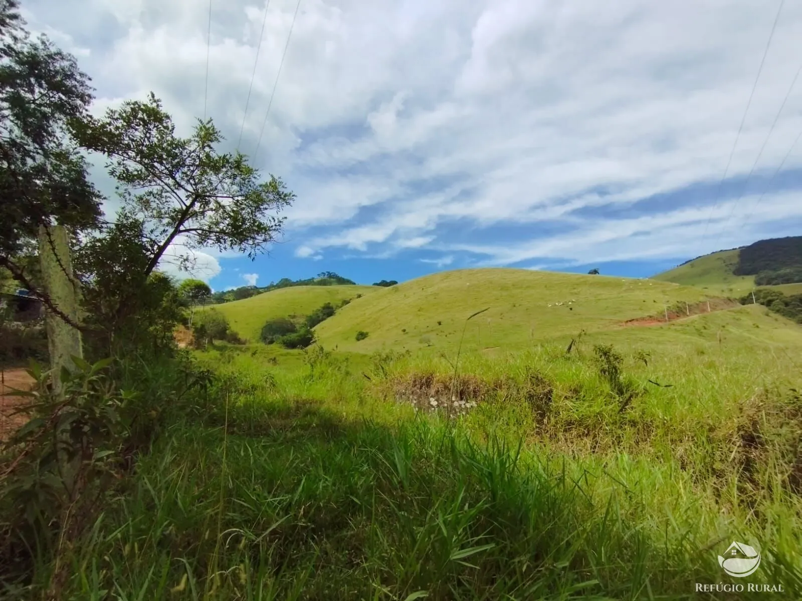 Fazenda à venda de 242 ha em Piracaia, SP, Brasil
