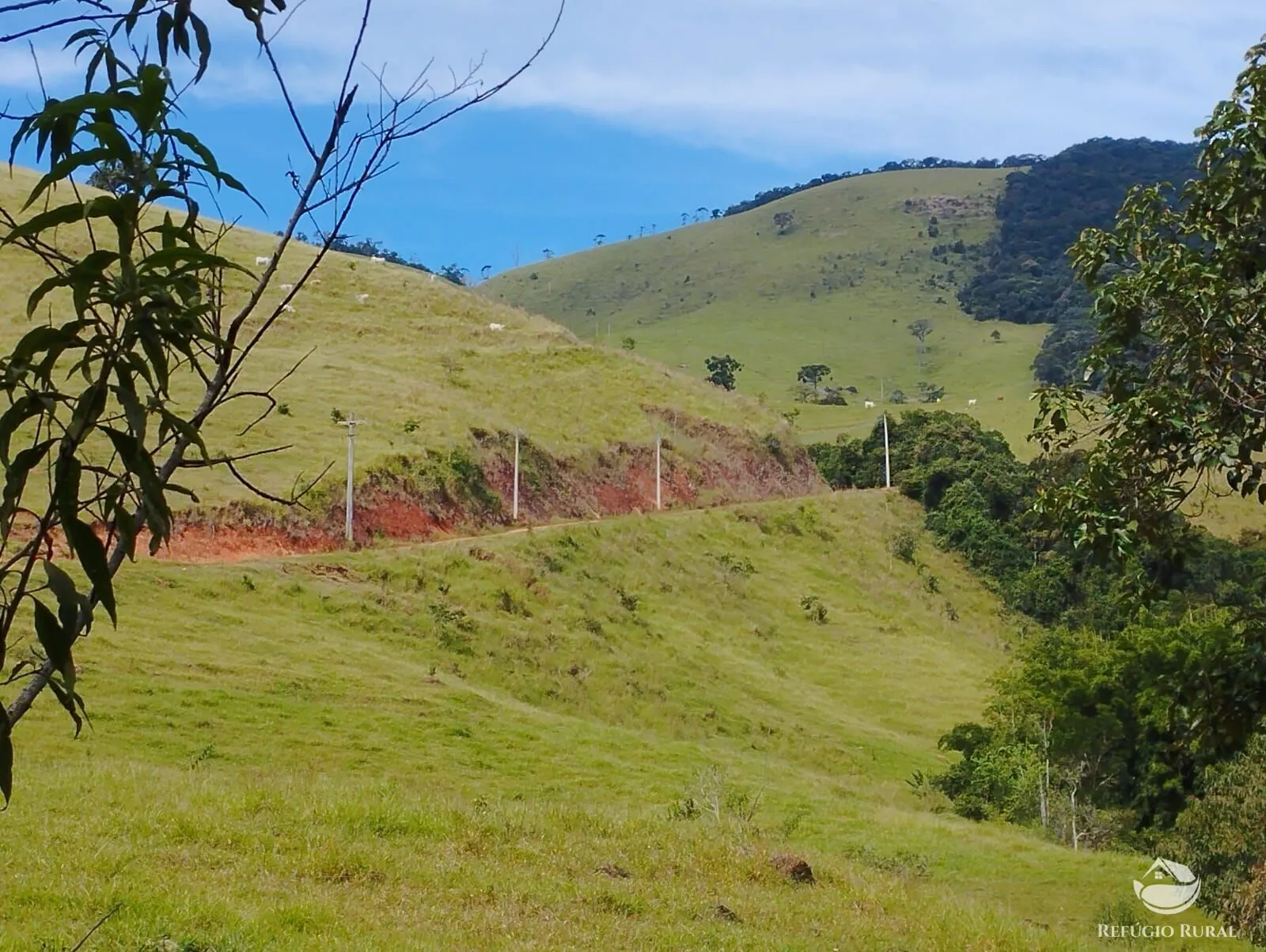 Fazenda à venda de 242 ha em Piracaia, SP, Brasil