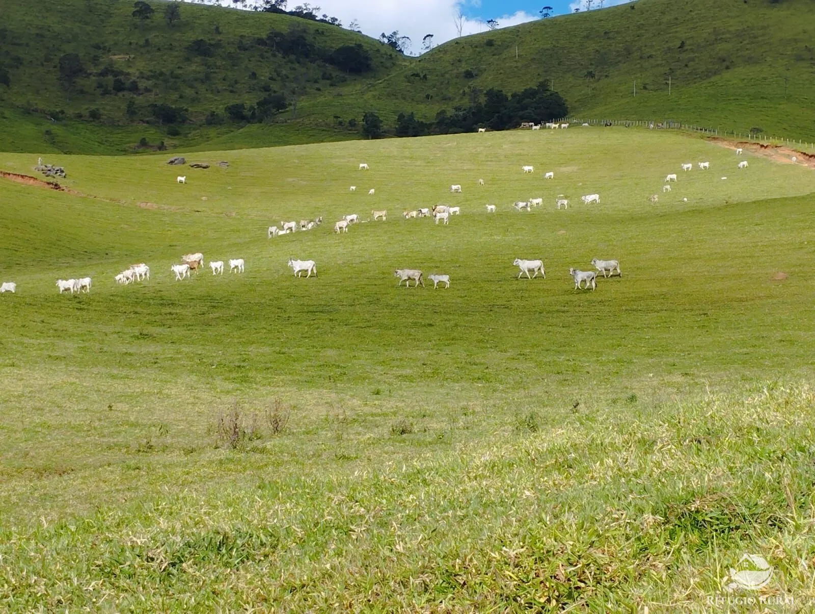 Fazenda à venda de 242 ha em Piracaia, SP, Brasil