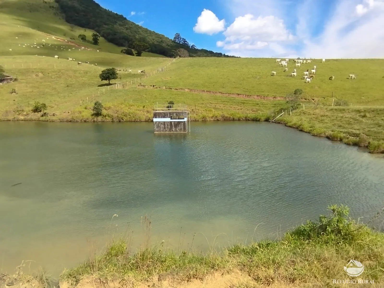 Fazenda à venda de 242 ha em Piracaia, SP, Brasil