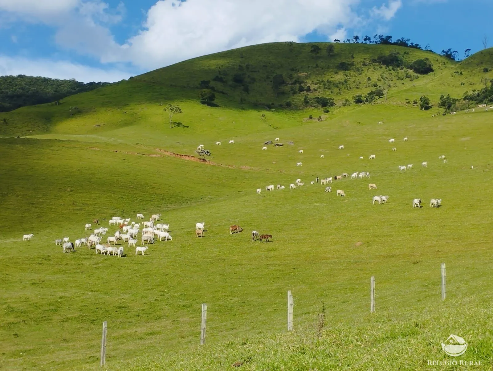 Fazenda à venda de 242 ha em Piracaia, SP, Brasil