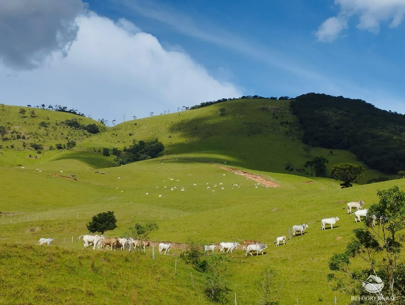 Fazenda à venda de 242 ha em Piracaia, SP, Brasil