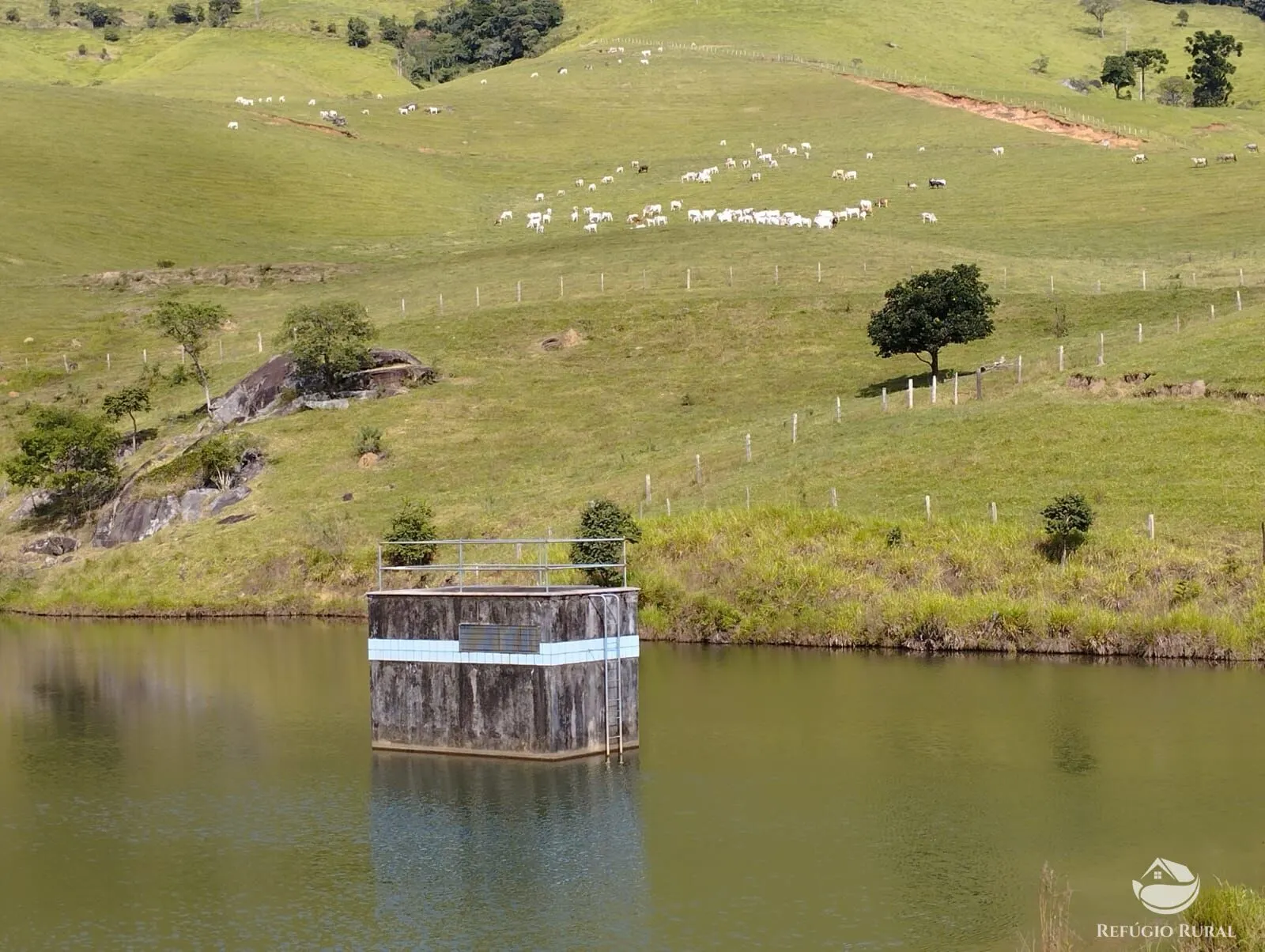 Fazenda à venda de 242 ha em Piracaia, SP, Brasil