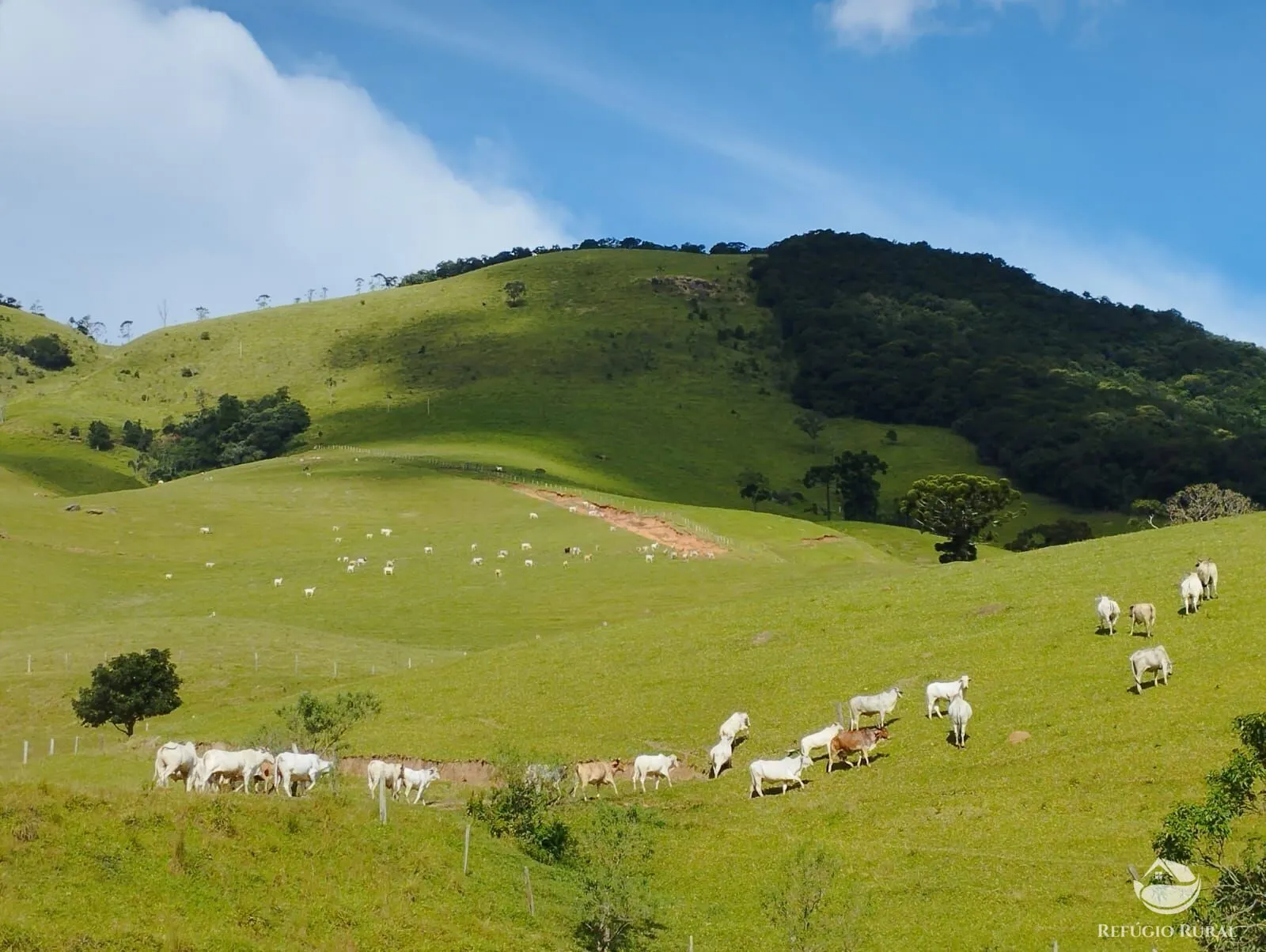 Fazenda à venda de 242 ha em Piracaia, SP, Brasil