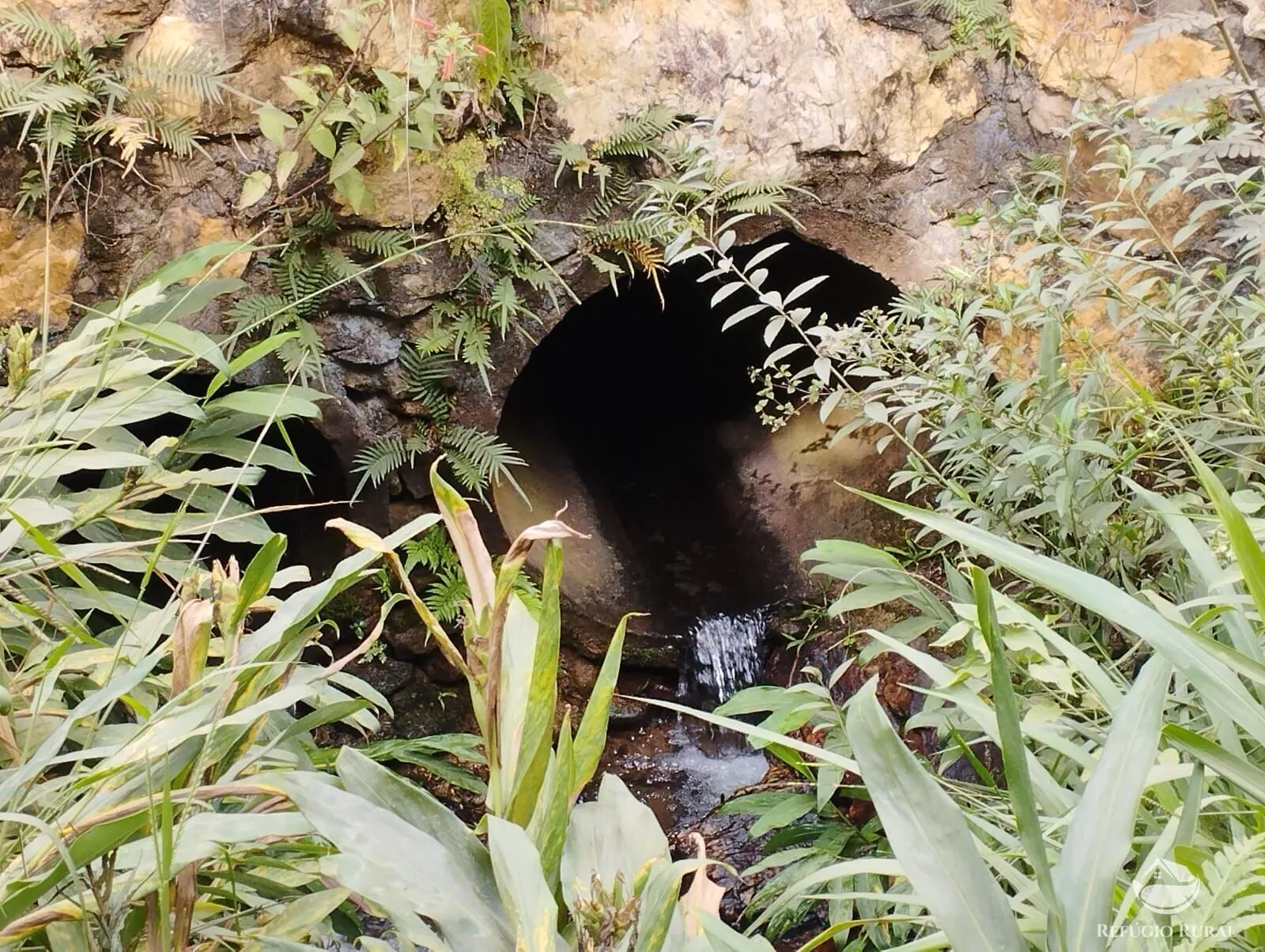 Fazenda à venda de 242 ha em Piracaia, SP, Brasil