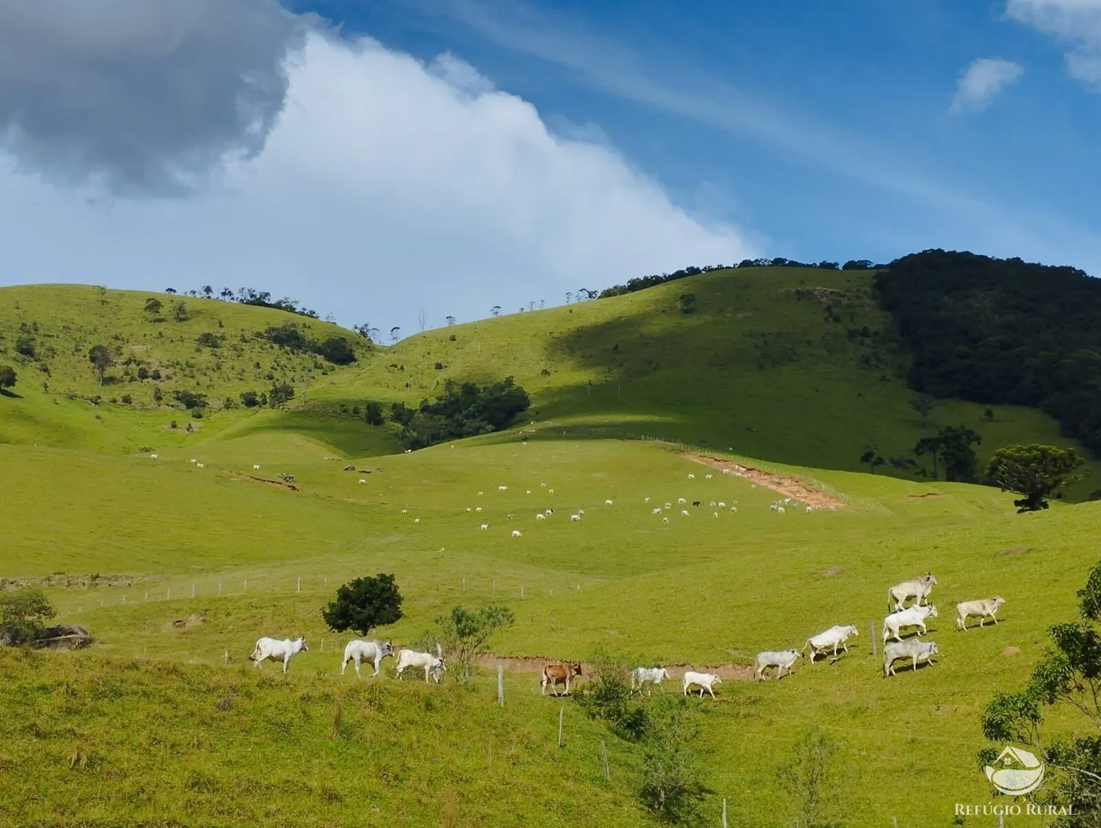 Fazenda à venda de 242 ha em Piracaia, SP, Brasil