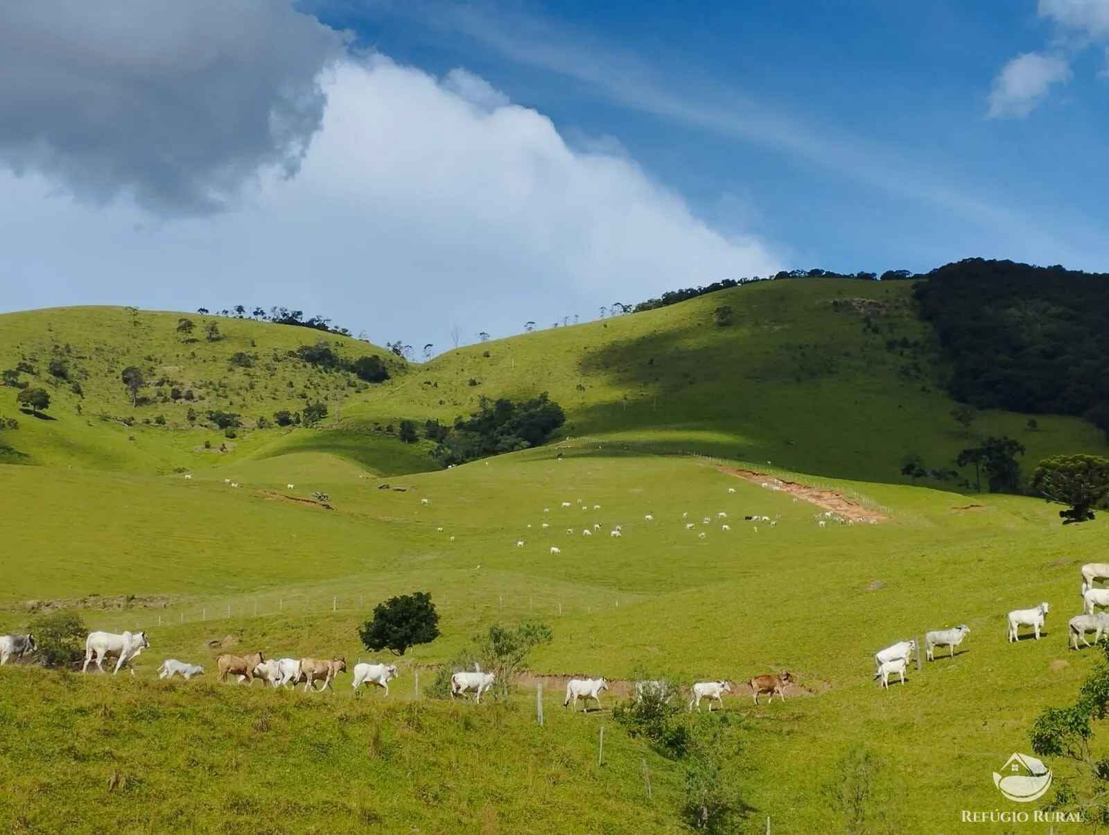 Fazenda à venda de 242 ha em Piracaia, SP, Brasil
